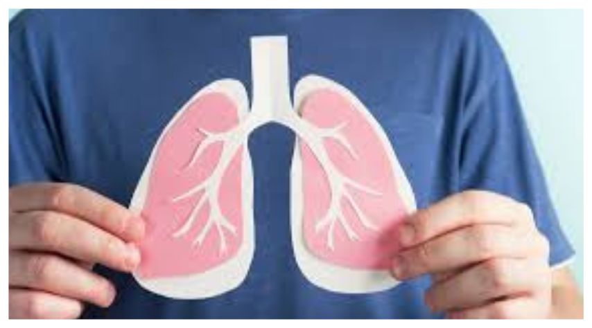 An Overview of Non-small Cell Lung Cancer