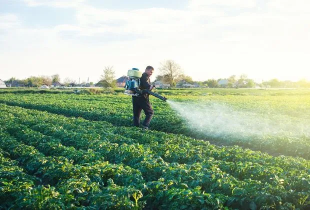 Pesticides and Asthma: Unmasking the Hidden Respiratory Threat