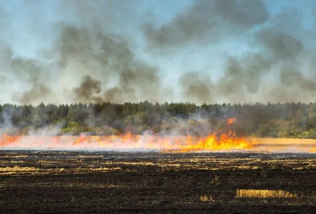 Wildfire Air Pollution and Atopic Dermatitis - Effects, Impacts, and Treatment