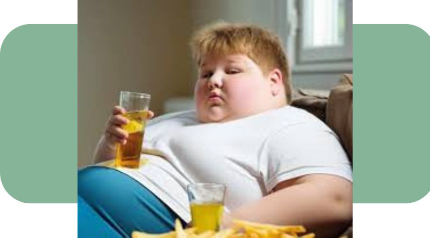 Link between Habits, Lifestyle, and Obesity