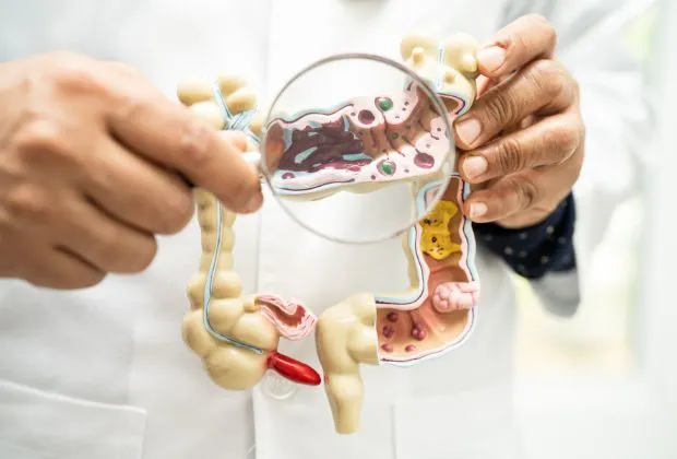 Role of Gut Microbiota in Gynecological Disorders
