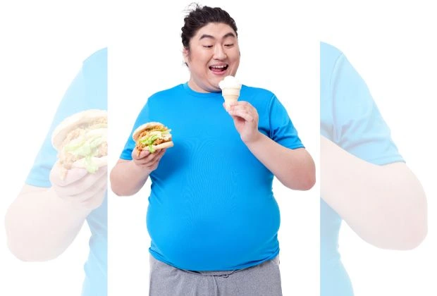 Obesity and Gastrointestinal Health