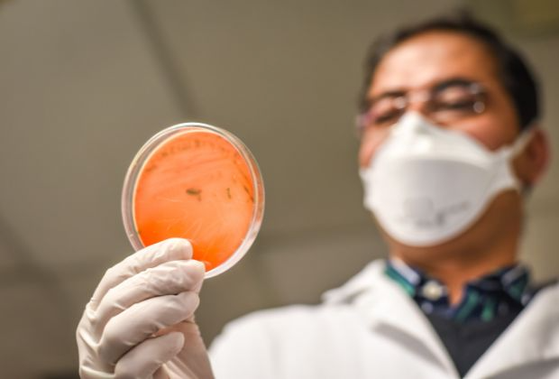 Mycobacterium Avium Complex Impact on Lungs