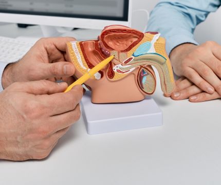 Prostate Cancer Journey: Diagnosis, Decisions, and Determination