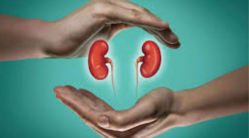 Lifestyle Choices to Manage Autosomal Dominant Polycystic Kidney Disease