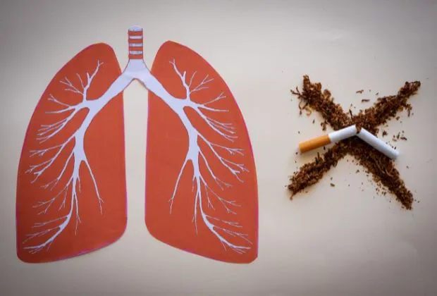 Smoking and Alveolar Macrophages