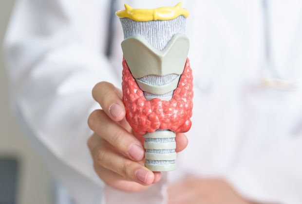 iCliniq | Understanding Thyroid Disorders