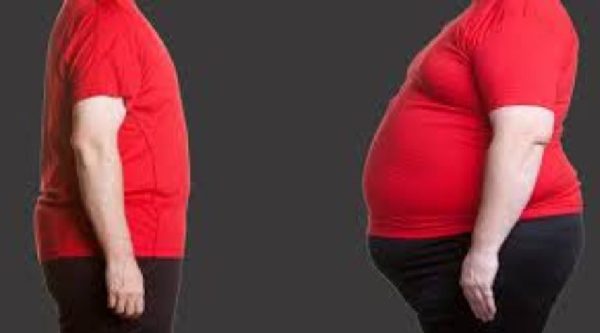 Categorizing Obesity