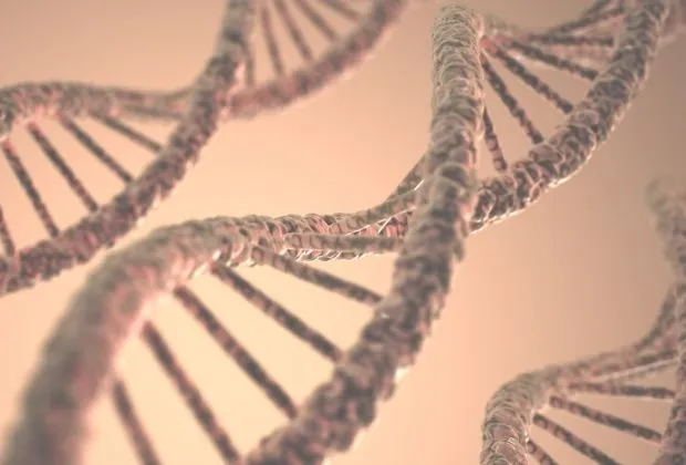 Checkpoint Kinase 2 Mutation
