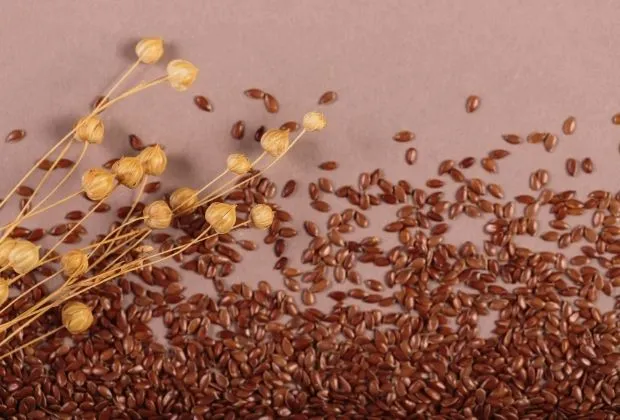 Link Between Flaxseed and Breast Cancer