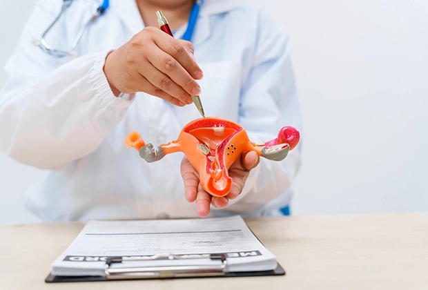 Endometrial Cancer - Causes, Symptoms, Risk Factors, Stages, Diagnosis, and Treatment