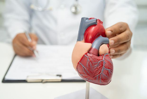 Cardiometabolic Syndrome and Diabetes - Heart Health