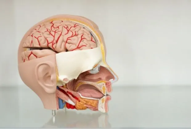 Disorders of the Nerves