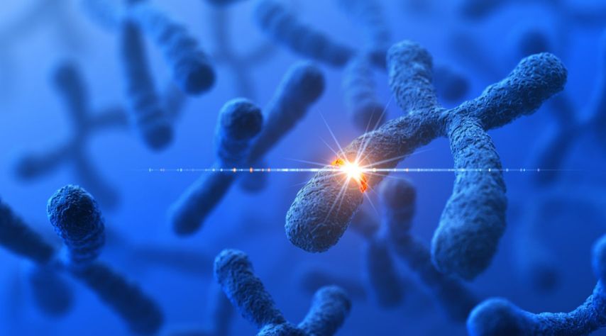 What Are the Causes of Lymphoma?