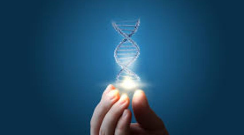 Genetics Behind Hemophilia