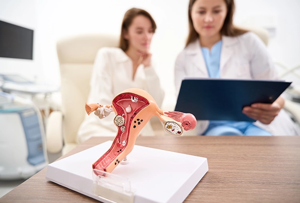 Premalignant Lesions of the Endometrium - Causes, Diagnosis, and Treatment